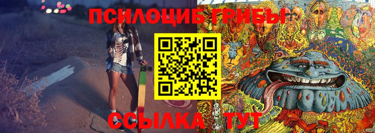 Галлюциногенные грибы Psilocybine cubensis Нижнеудинск